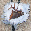 View larger carved elk belt buckle or bolo by Bill Jons