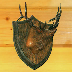 Carved Wood Elk Head Plaque